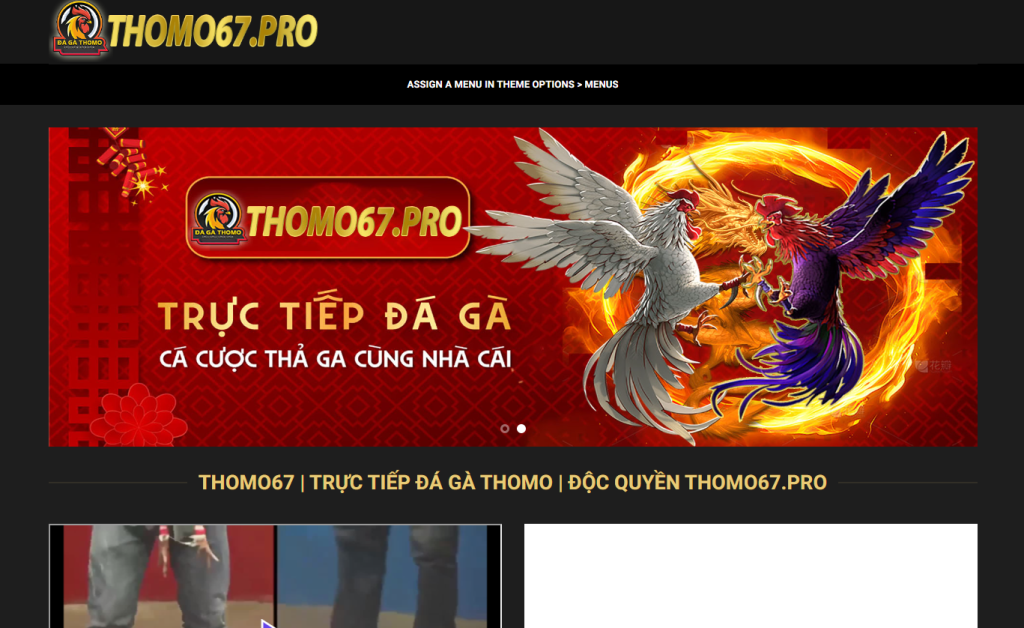Giới thiệu đôi nét về Thomo67
